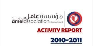 Amel Activity Report 2010-2011