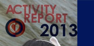 Amel Activity Report 2013