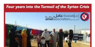 Amel Activity Report 2014-2015
