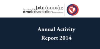 Amel Annual Activity Report 2014