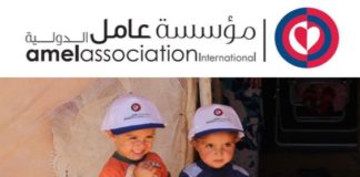 Amel Activity Report 2015