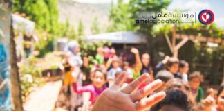 Amel Activity Report 2016