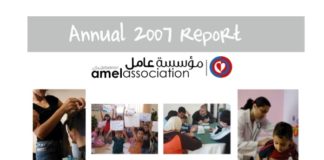 Amel Activity Report 2007