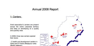 Amel Annual Activity Report 2008