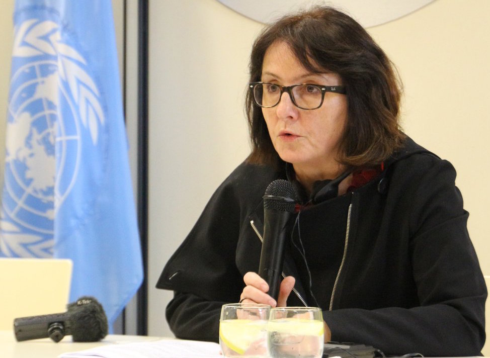 UN expert on violence against women urges worldwide adoption of ...