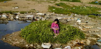 Exile Voices and Nature in the Camp