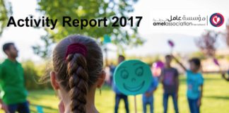 Amel Activity Report 2017