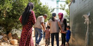Amel Activity Report 2018