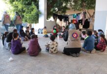 Amel Warns of Worsening Displacement Crisis: Temporary Solutions Are No Longer Enough Amel Association International Warns of Worsening Displacement Crisis