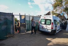 Amel Releases 2024 Report on Street-Connected Children and Families in Beirut and Its Southern Suburbs