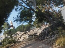 Destruction of Ghandour Hospital Is a New Crime Against the Healthcare Sector
