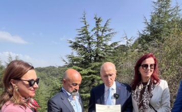 Cedar Planted in Barouk in the Name of Dr. Kamel Mohanna in Honour of His Humanitarian Work